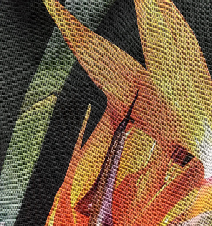 Moudda ZARA - Body - Tunisie 3