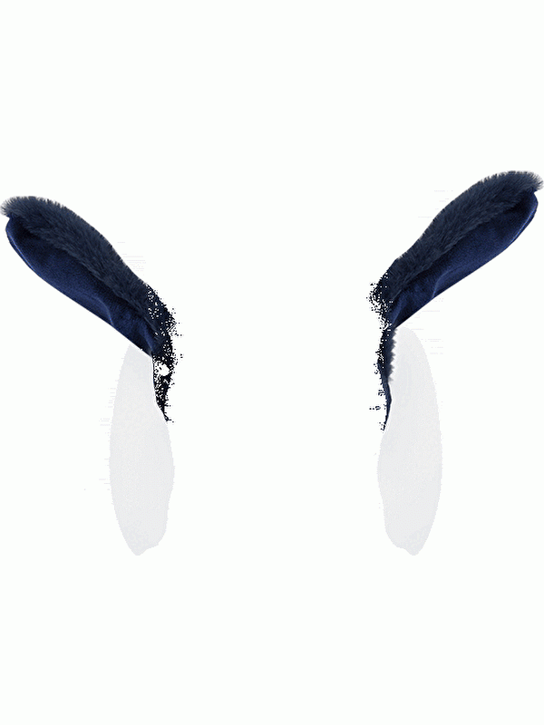Moudda LC Waikiki - Cache-oreilles Garçon Bleu marine foncé - Tunisie 2