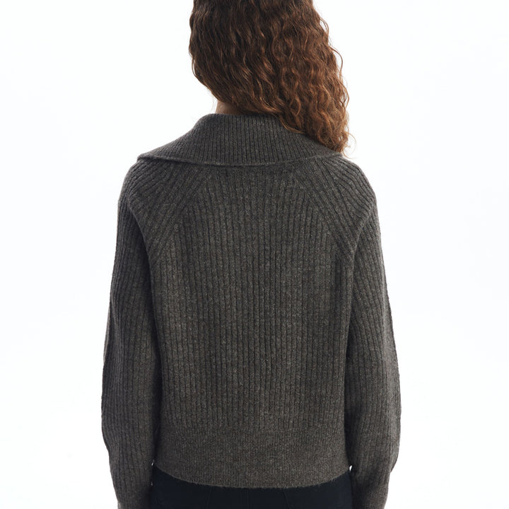 Moudda LC Waikiki - Cardigan tricot moyen Femme Mélange brun - Tunisie 4