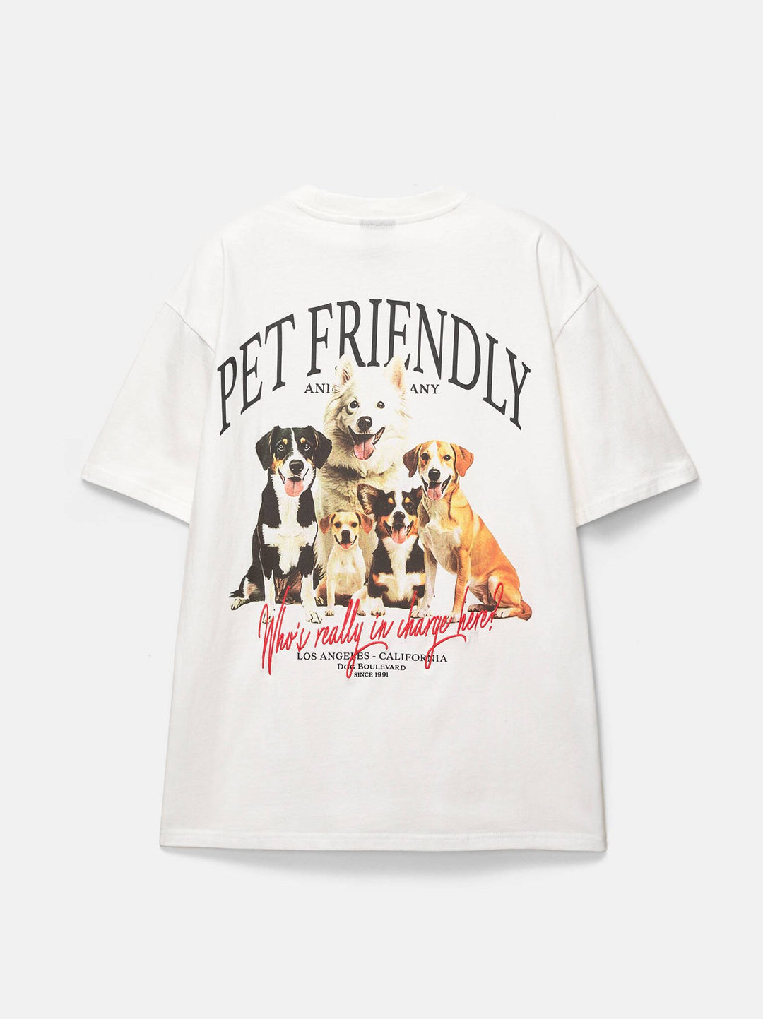 Moudda PULL & BEAR - T-Shirt - Chiens - Tunisie 3