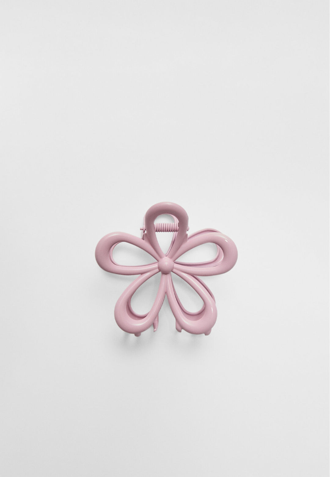 Pince - Marguerite - Tunisie2