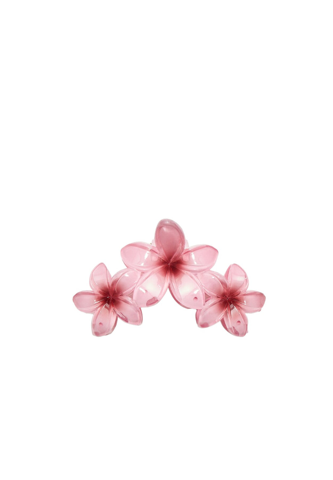 Pince - Triple Fleur - Tunisie1