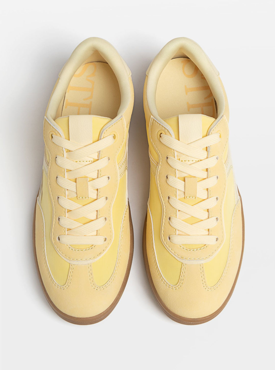 Moudda STRADIVARIUS - Trainer - Tunisie 1