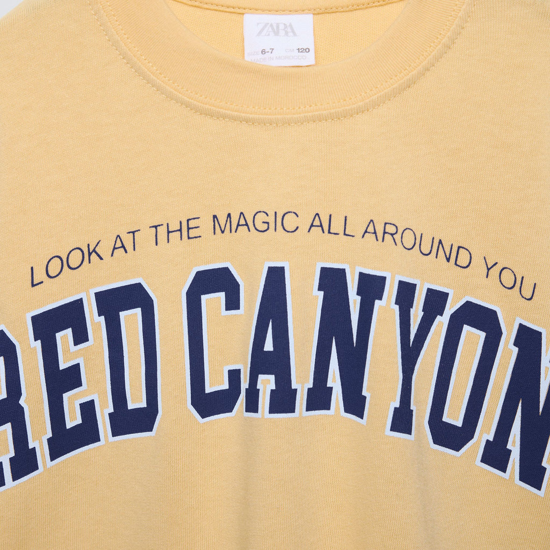 Moudda ZARA - T-shirt varsity, texte, poignets côtelés - Tunisie 3