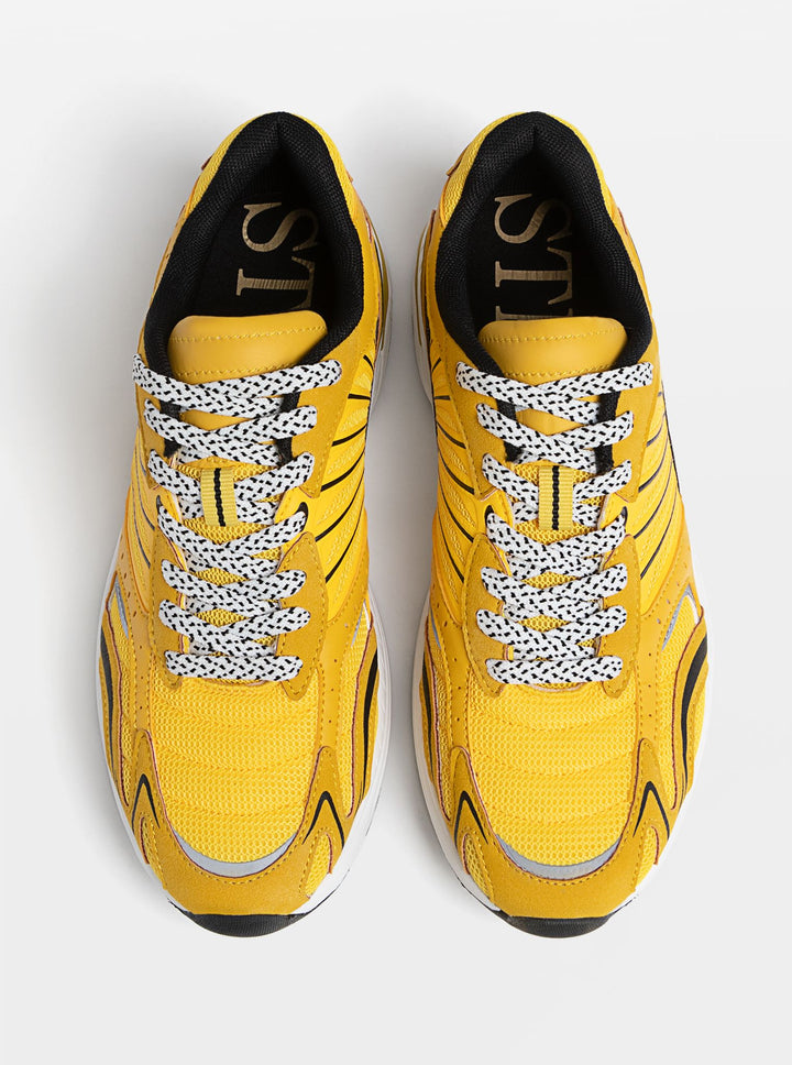 Moudda STRADIVARIUS - Trainer - Tunisie 1