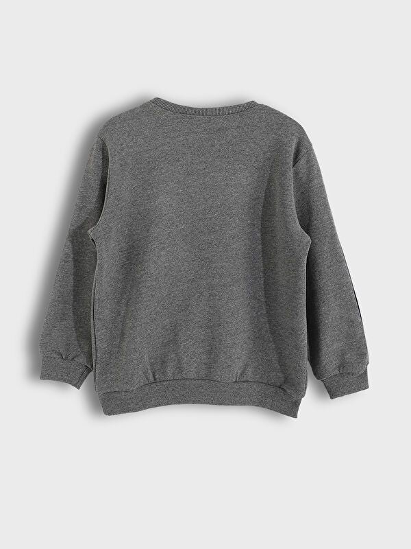 Moudda LC Waikiki - Pack sweatshirt jersey Garçon Essence - Tunisie 4