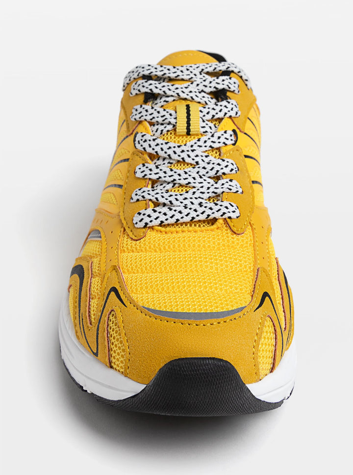 Moudda STRADIVARIUS - Trainer - Tunisie 2